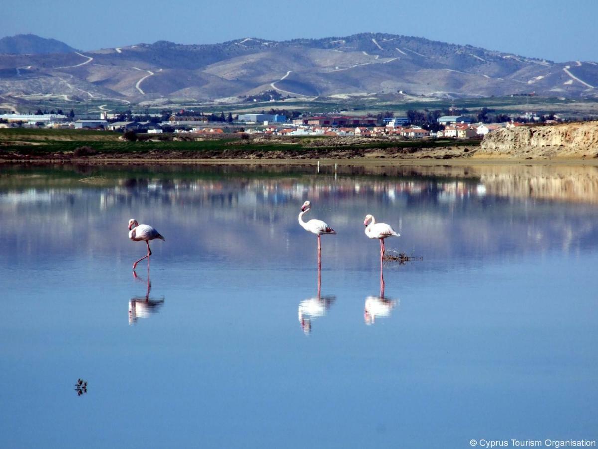 Blue Bay Beach House Larnaca Luaran gambar